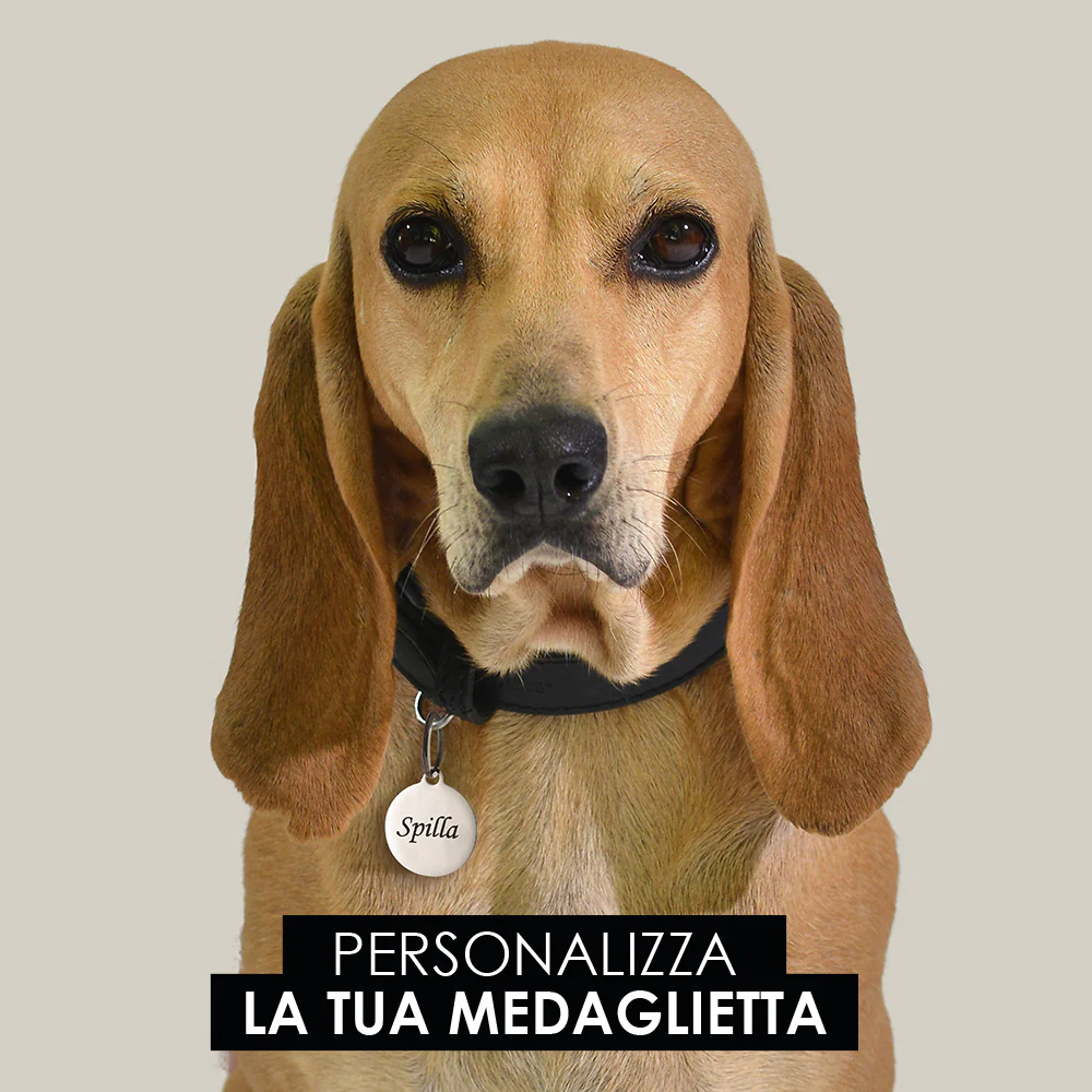 MEDAGLIETTA PERSONALIZZABILE CANE E GATTO CERCHIO - Image 10