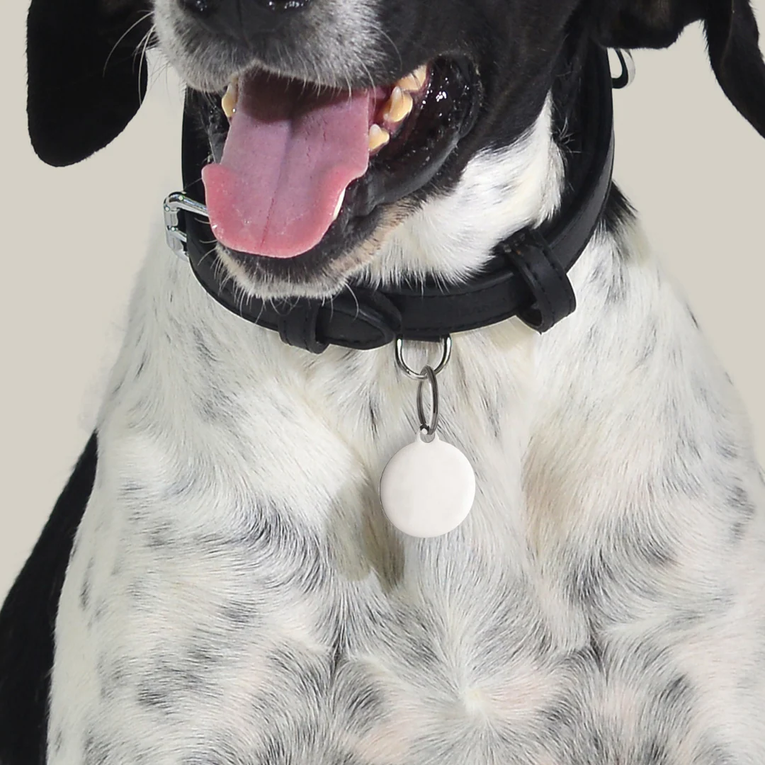 MEDAGLIETTA PERSONALIZZABILE CANE E GATTO CERCHIO - Image 14