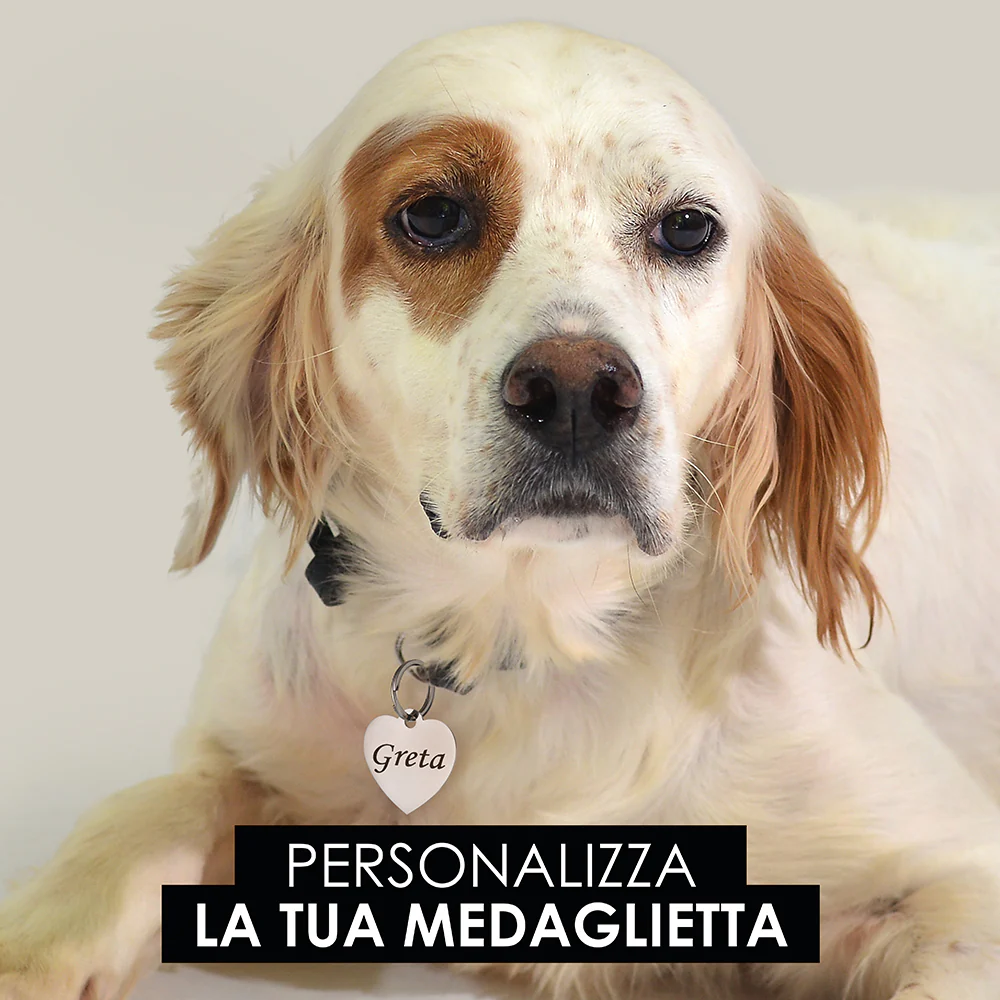 MEDAGLIETTA PERSONALIZZABILE CANE E GATTO CUORE - Image 10