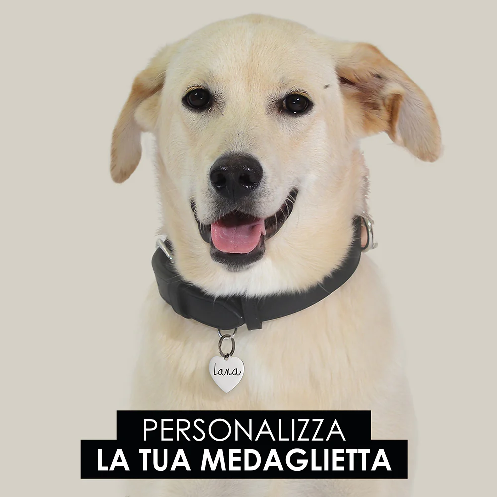 MEDAGLIETTA PERSONALIZZABILE CANE E GATTO CUORE - Image 16
