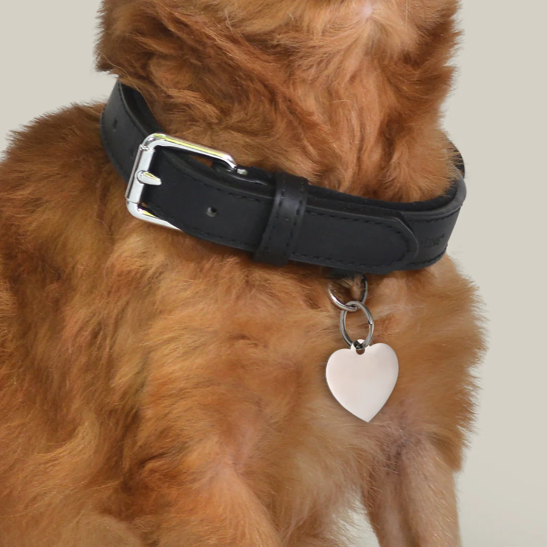 MEDAGLIETTA PERSONALIZZABILE CANE E GATTO CUORE - Image 2